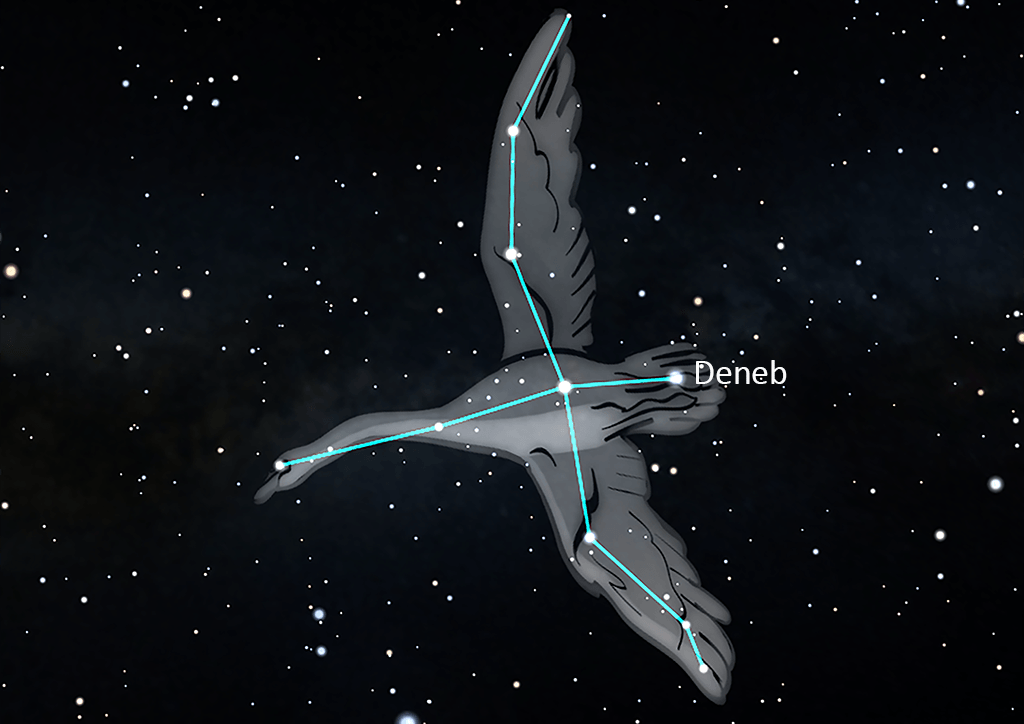 sb_cyg.png